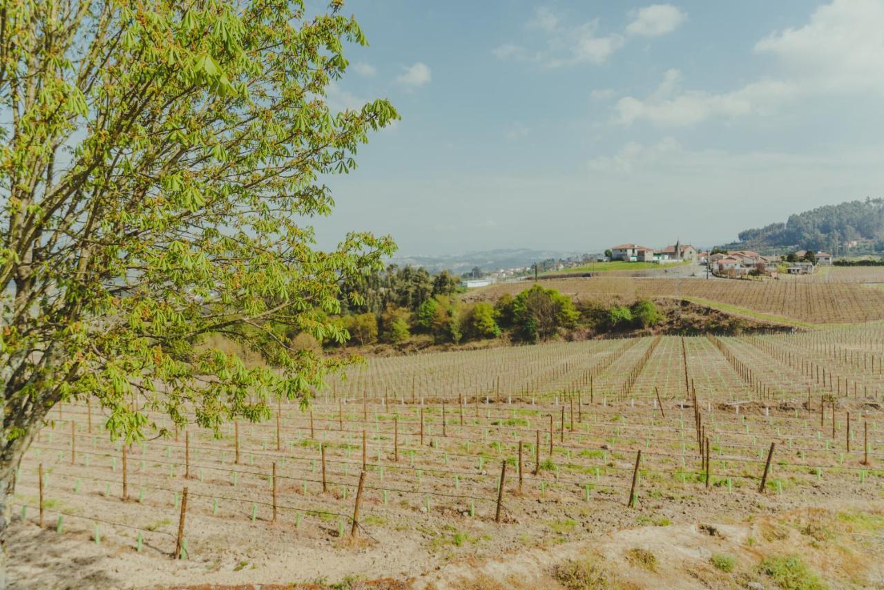 فيلا فيلجويراسفي The Farmhouse I - Uma Quinta Deslumbrante المظهر الخارجي الصورة