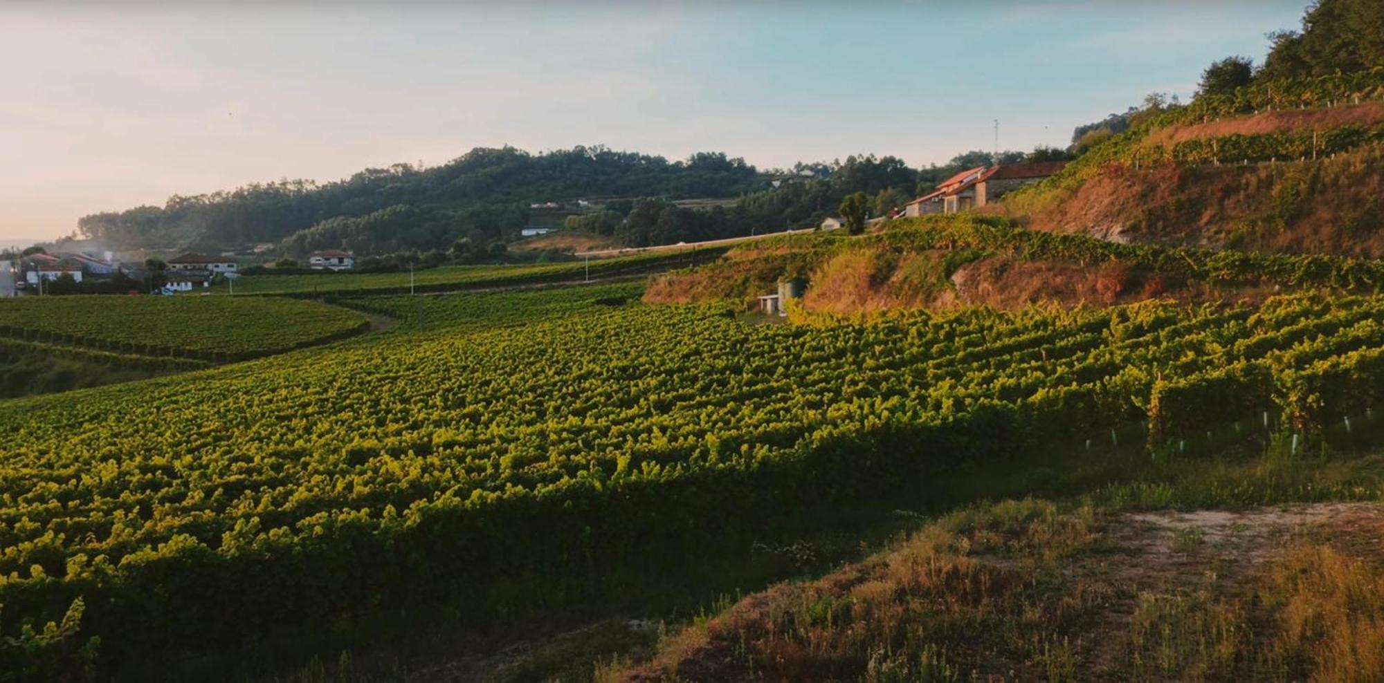 The Farmhouse I - Uma Quinta Deslumbrante فيلجويراس المظهر الخارجي الصورة